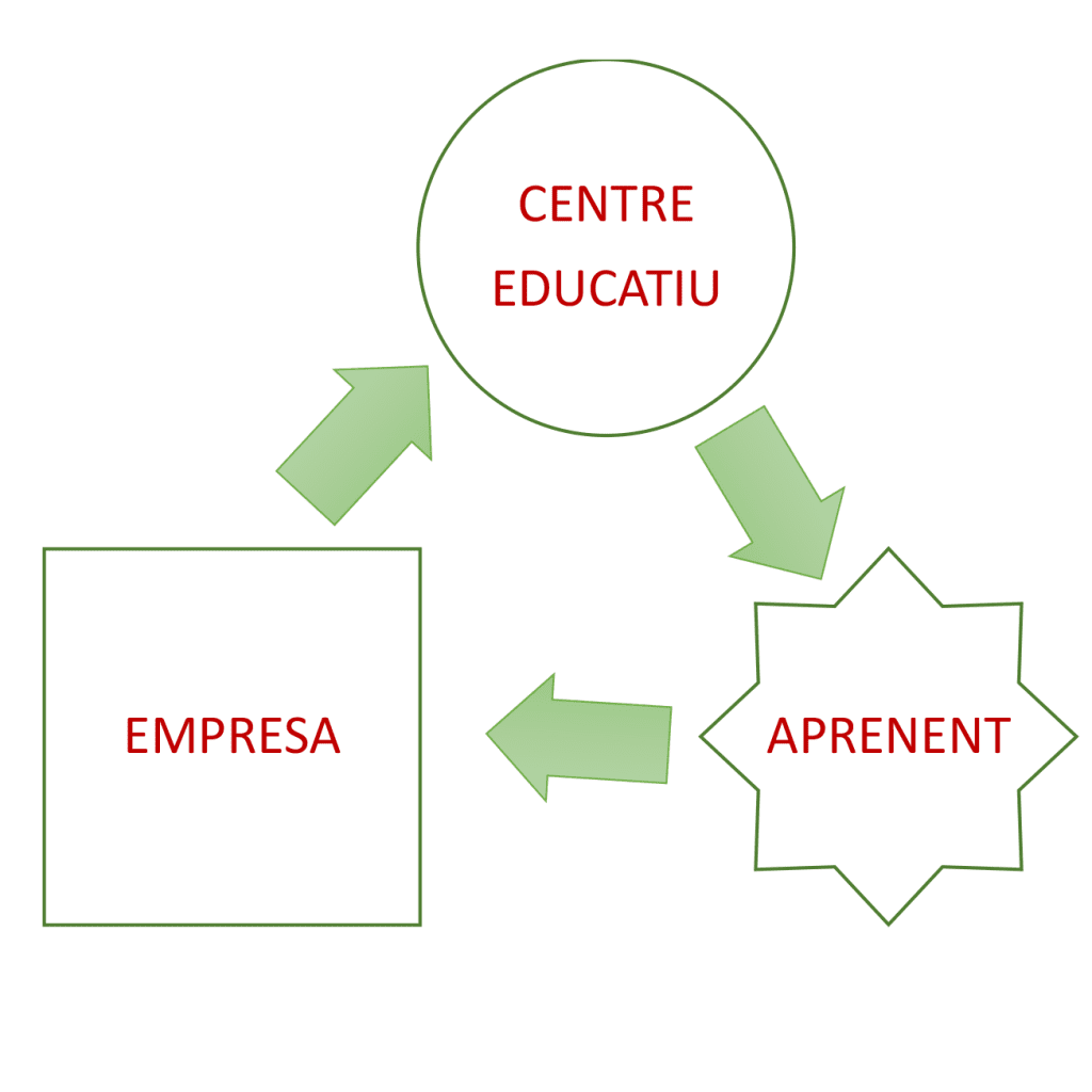 Esquema FP Dual Ins Horticultura i jardineria