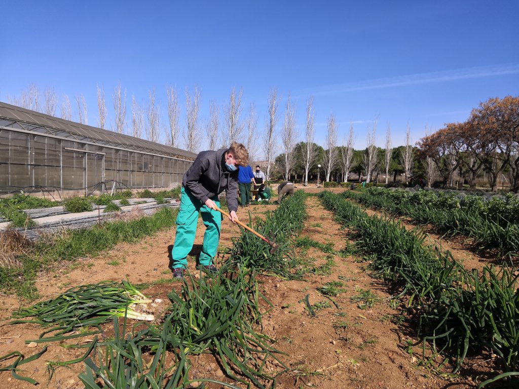 CFGM Jardineria i Floristeria