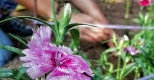 IMG 20201125 121017 01 01 scaled e1764955460885