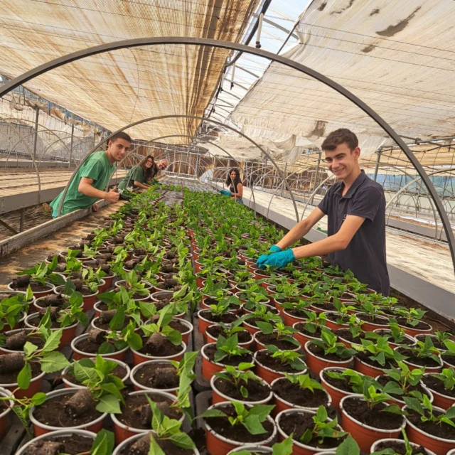 🌿 GRÀCIES, VOLUNTARIS! 🌿
Aquest final de juny i el mes de juliol hem tingut la sort de comptar amb un equip d’alumnes voluntaris dels diferents cicles que s’han deixat la pell als jardins i als hivernacles.

💧 Han regat,
✂️ han tallat la gespa,
🌱 han començat la plantació de 4.000 poinsetties (sí, ja pensem en el Nadal!),
🥬 i han plantat més de 1.000 carxofes!

La vostra ajuda ha estat clau i el vostre compromís, inspirador.
Moltíssimes gràcies per la vostra energia i ganes!
Sou els millors! 💚🙌

#voluntariat #educacioambiental #hivernacle #jardineria #produccióagroecològica #poinsettia #carxofa #estiuambvalors #gràcies