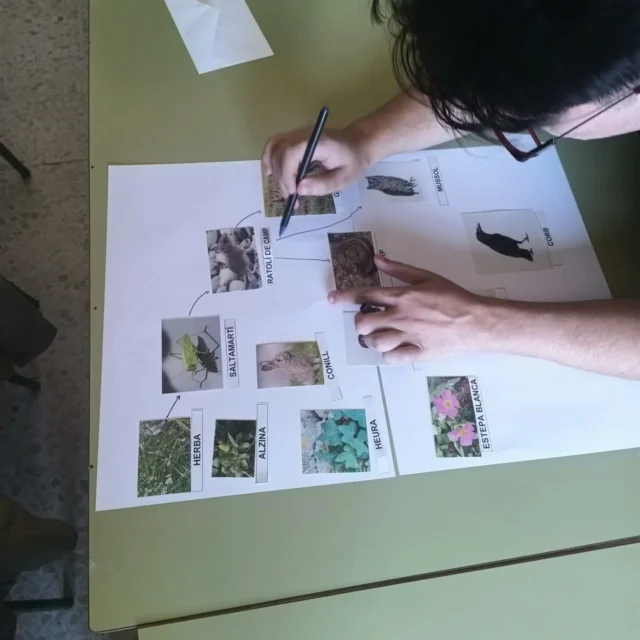 🌱🔍 Els alumnes de 1r CFGS Educació i Control Ambiental hem començat el curs amb molta energia!

Hem après a identificar diferents éssers vius i a construir la xarxa tròfica que ens mostra com es relacionen dins d’un ecosistema. 🌍✨

👉 Entendre aquests equilibris és el primer pas per aprendre a cuidar i protegir la natura!

#EducacióAmbiental #ControlAmbiental #XarxaTròfica #Natura #CFGS #fp